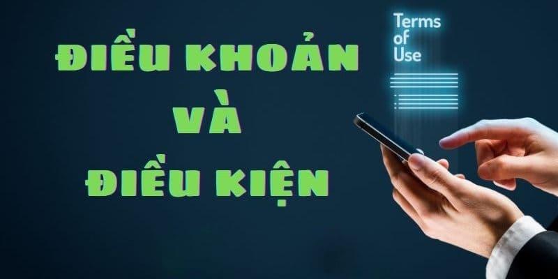 Trách nhiệm của thành viên cần thực hiện theo quy định